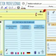 Ficha Sector Profesional en el módulo IPE 1